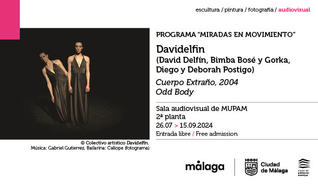 Banner Cultura Davidelfin